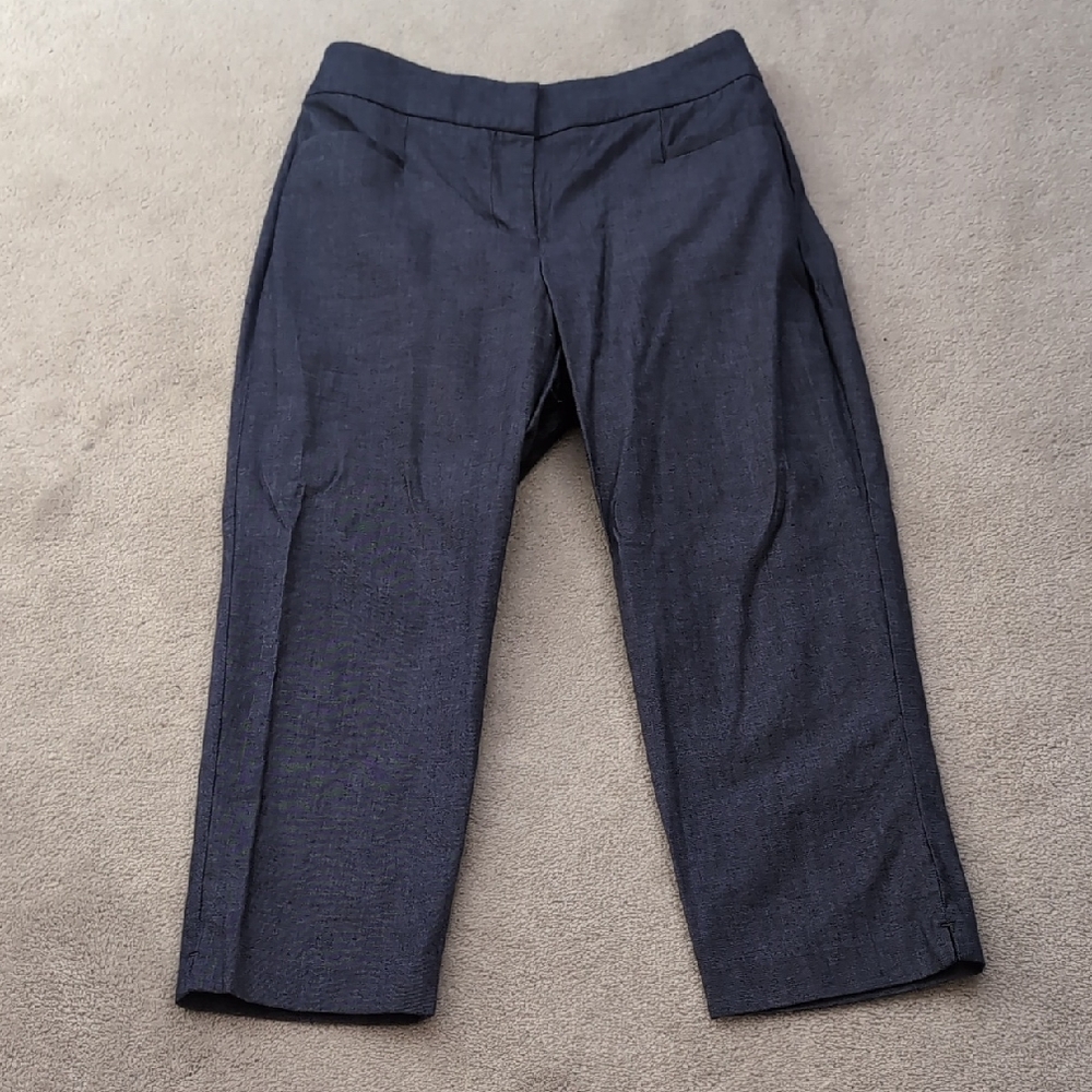 Ann Taylor Factory Capris